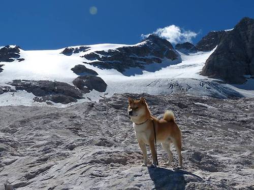 布伦森37分点燃雄鹿！比赛变成个人秀，山西防守为何形同虚设？