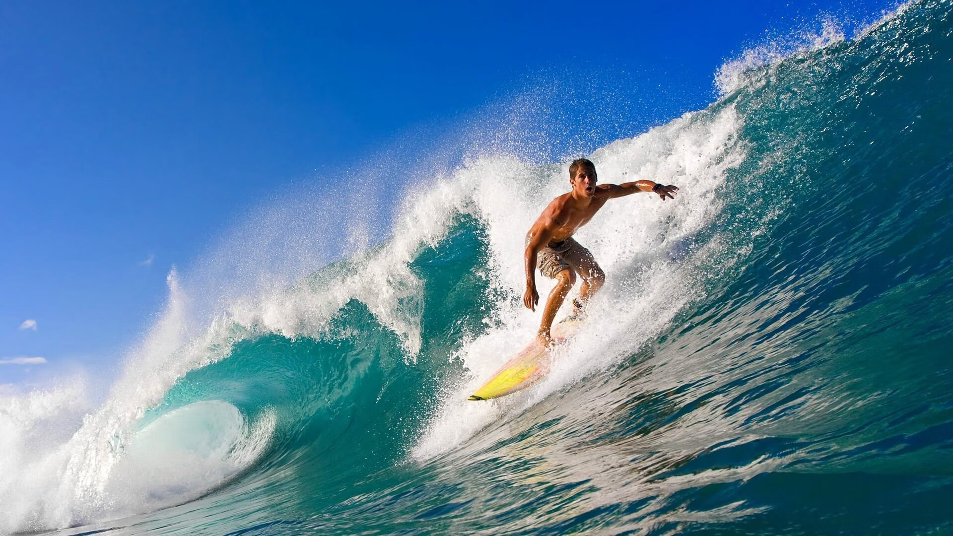 颠覆与统治，当森林狼的利齿撕碎魔术，布伦森的夜晚没有悬念